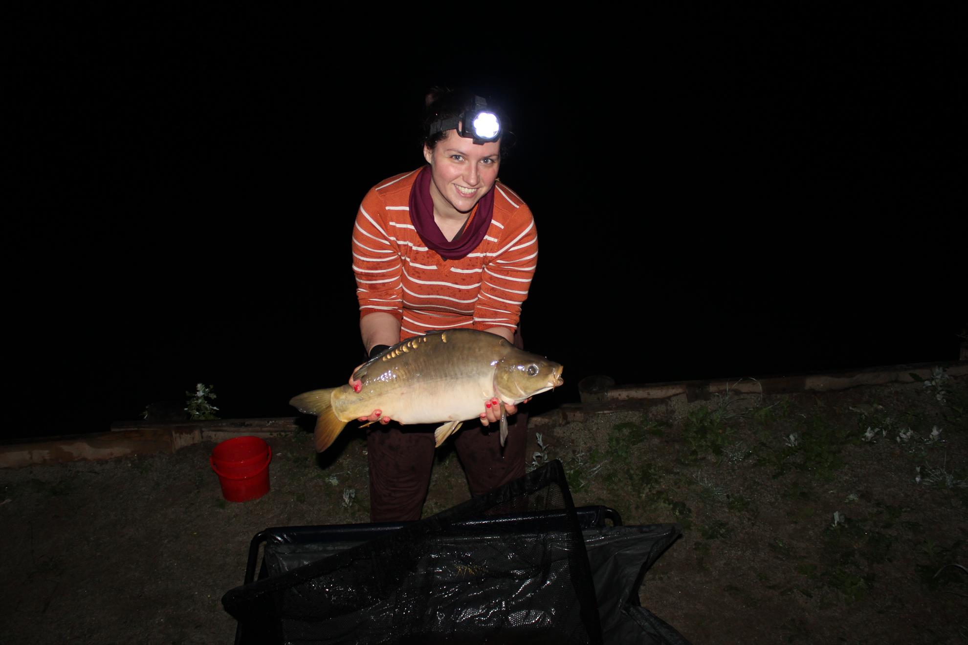 Hermes Peris 7 - 8 iunie 2014 - img7434.JPG